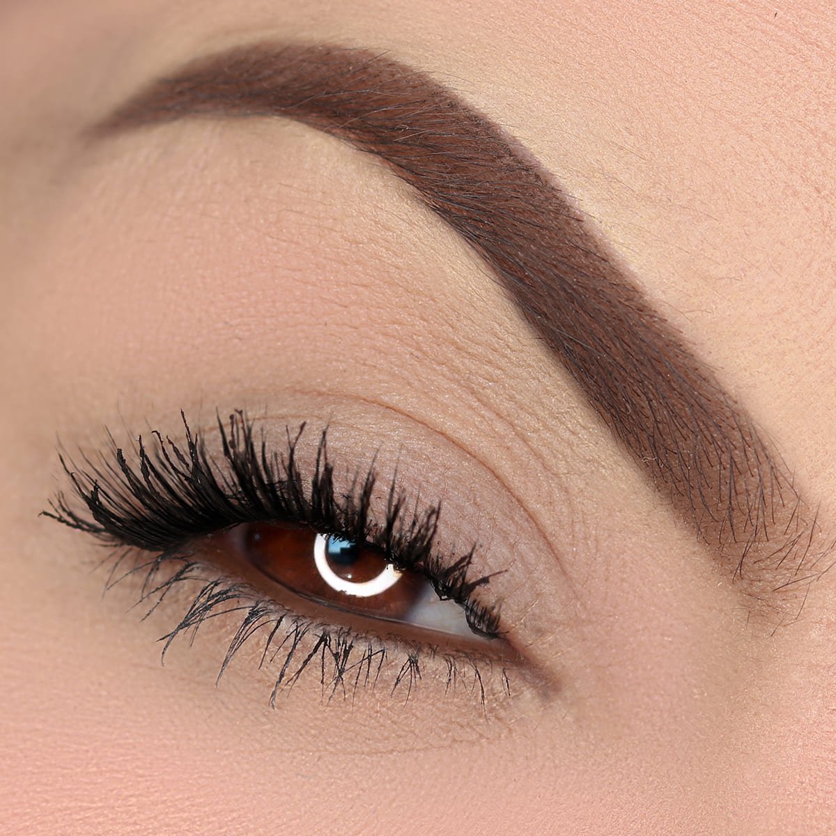 Lapiseira Para Olhos Marrom – Cat Lovers – Vizzela - Image 4